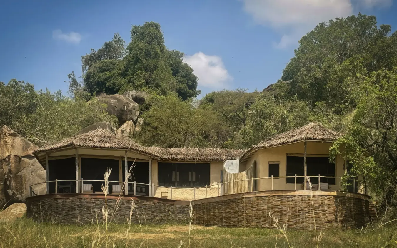Elephant standing on rocky outcrop above thatched safari lodge, Lamai Serengeti, Serengeti National Park, Tanzania