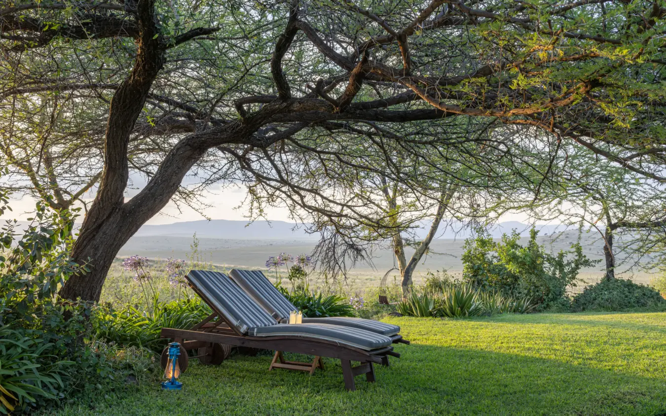 Lounge chair with striped cushion beneath acacia tree overlooking savanna valley, Lewa House, Laikipia Highlands, Kenya