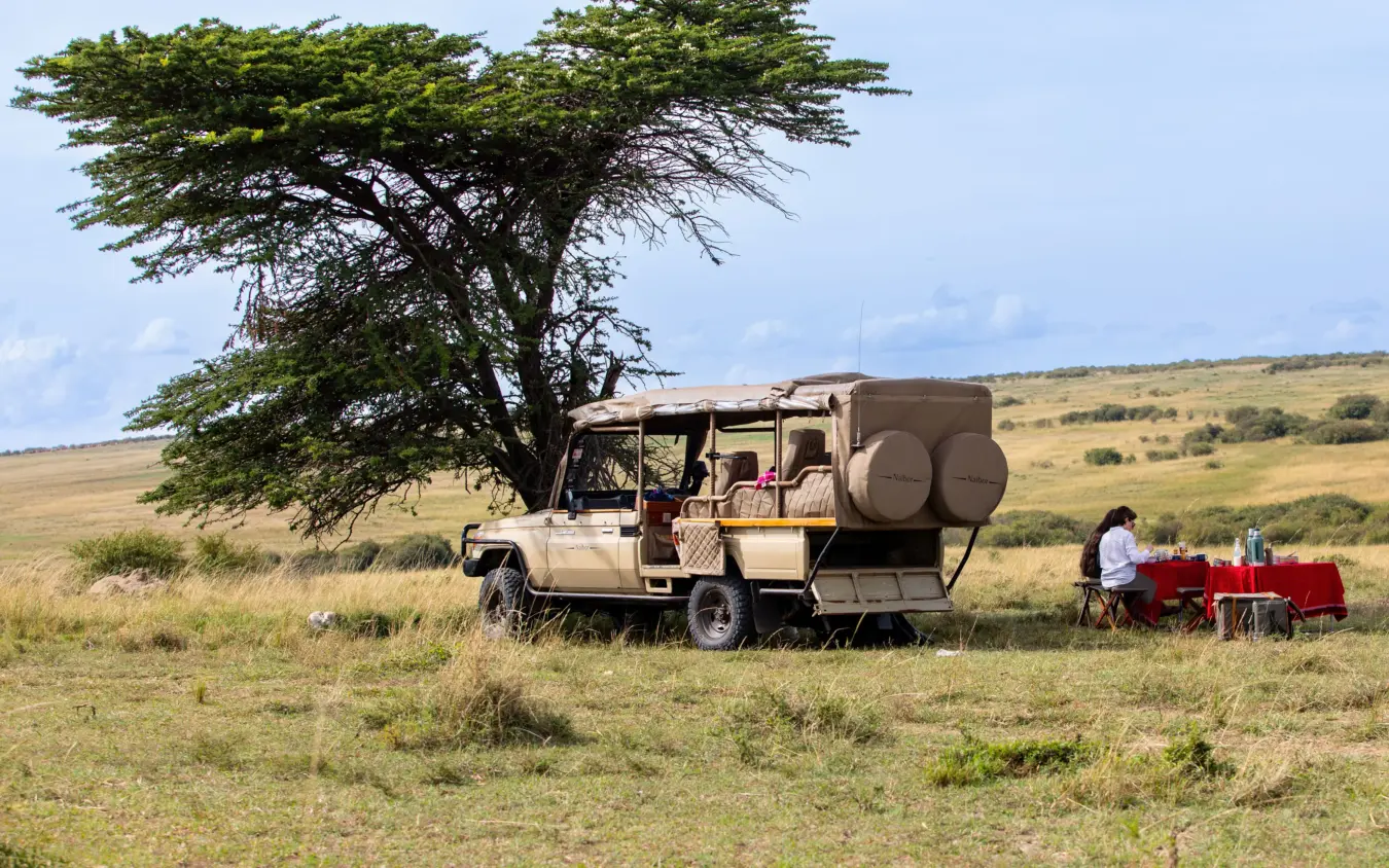Open-sided safari vehicle parked under acacia tree with dining setup, Naibor Camp, Maasai Mara, Kenya