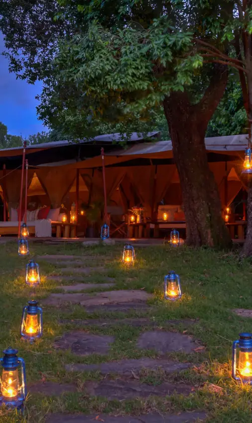 Glamping tent with lanterns lining pathway at dusk under large tree, Naibor Camp, Maasai Mara, Kenya
