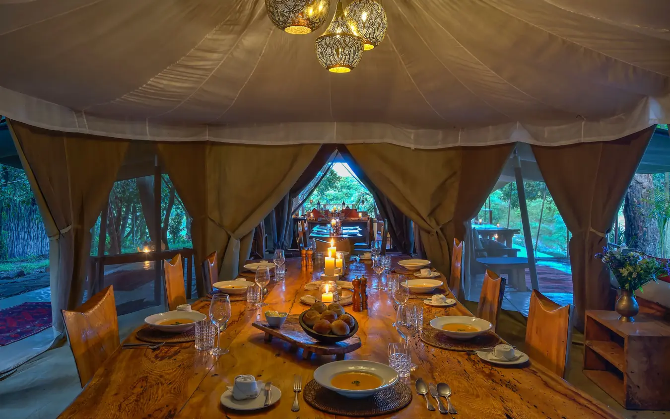 Elegant dining tent with set table and canvas drapes overlooking woodland, Naibor Camp, Maasai Mara, Kenya