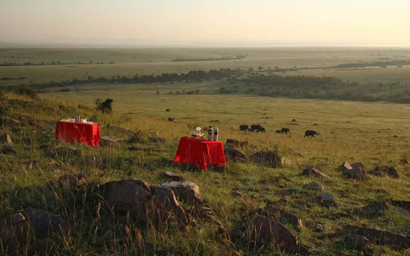 Dining setup on savanna hillside overlooking wildlife plains, Naibor Camp, Maasai Mara, Kenya