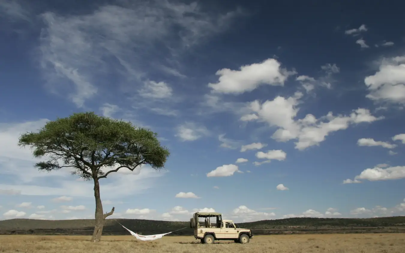 Safari vehicle parked beneath acacia tree in savanna, Naibor Camp, Maasai Mara, Kenya