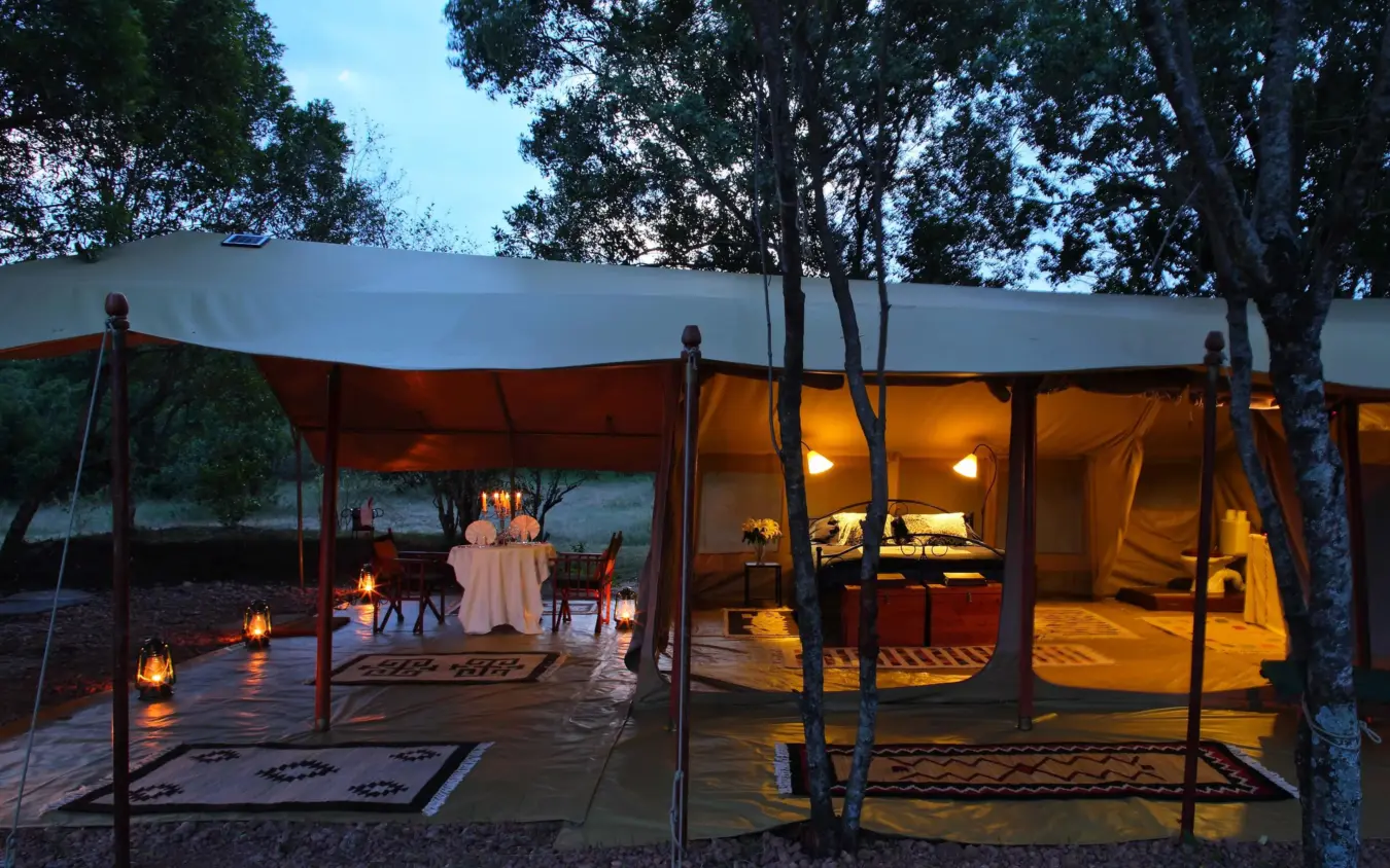 Illuminated safari tent camp nestled among acacia trees at dusk, Naibor Camp, Maasai Mara, Kenya