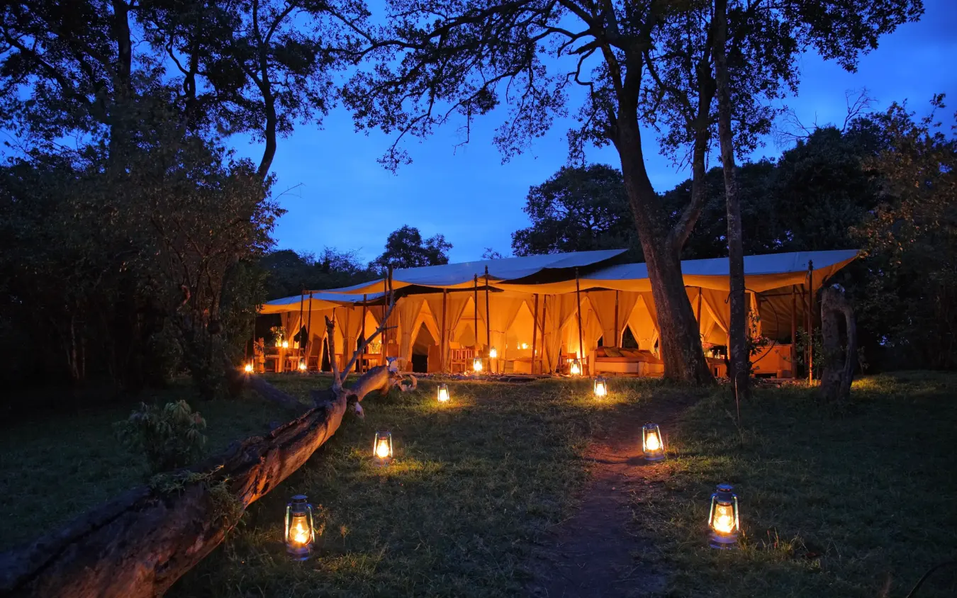 Illuminated safari tent camp nestled among acacia trees at dusk, Naibor Camp, Maasai Mara, Kenya