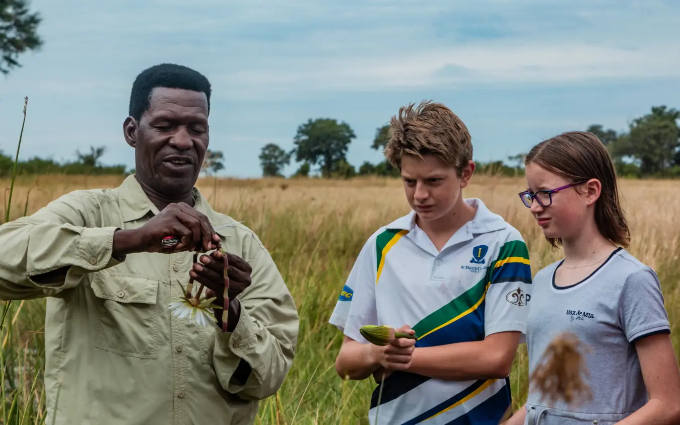 Local guide demonstrating wildlife specimen to young visitors in grassland savanna, Nambwa Tented Lodge, Zambezi Region, Namibia