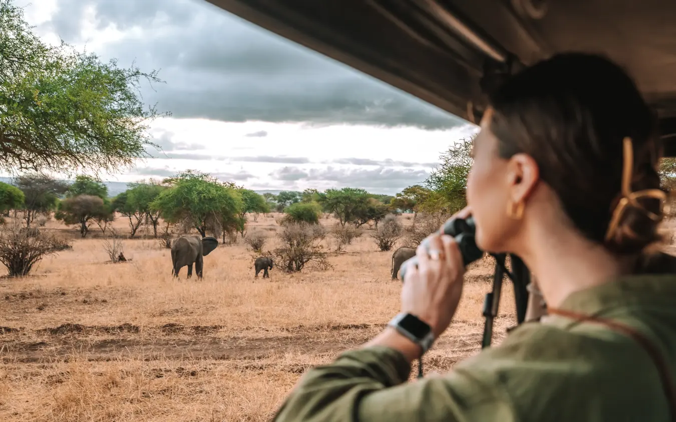 Woman photographing elephants from safari vehicle in acacia woodland, Ndutu Mobile Tented Camp, Serengeti National Park, Tanzania