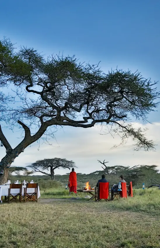 Maasai guides in red clothing at safari camp under acacia tree at sunset, Ndutu Mobile Tented Camp, Serengeti National Park, Tanzania