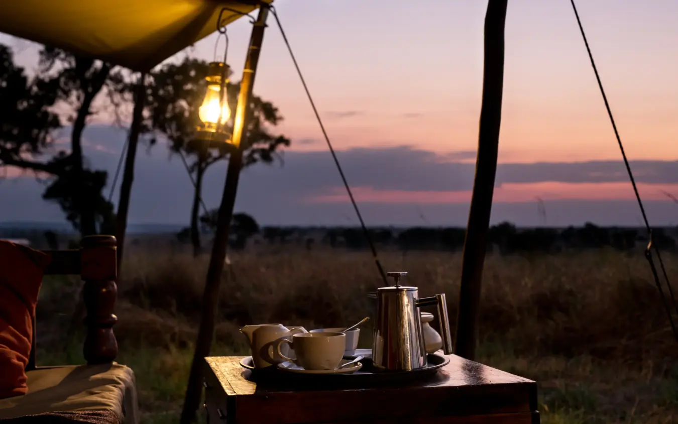 Dawn tea service at safari camp with lantern overlooking grassland savanna, Ndutu Mobile Tented Camp, Serengeti National Park, Tanzania