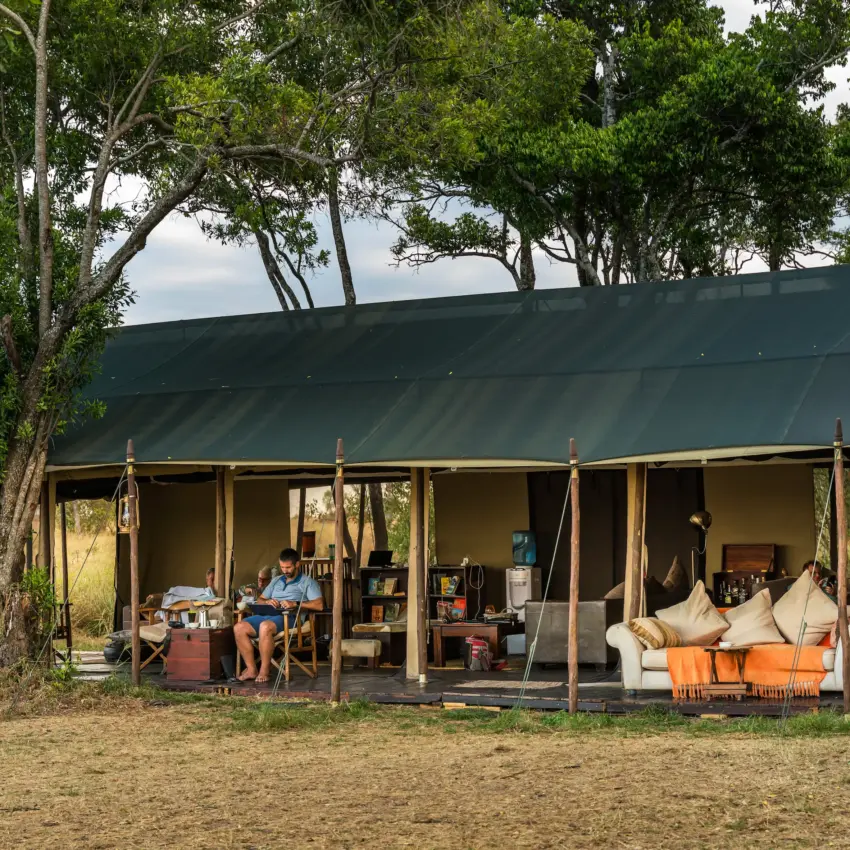 Luxury safari tent with guest relaxing under acacia trees at camp, Ndutu Mobile Tented Camp, Serengeti National Park, Tanzania