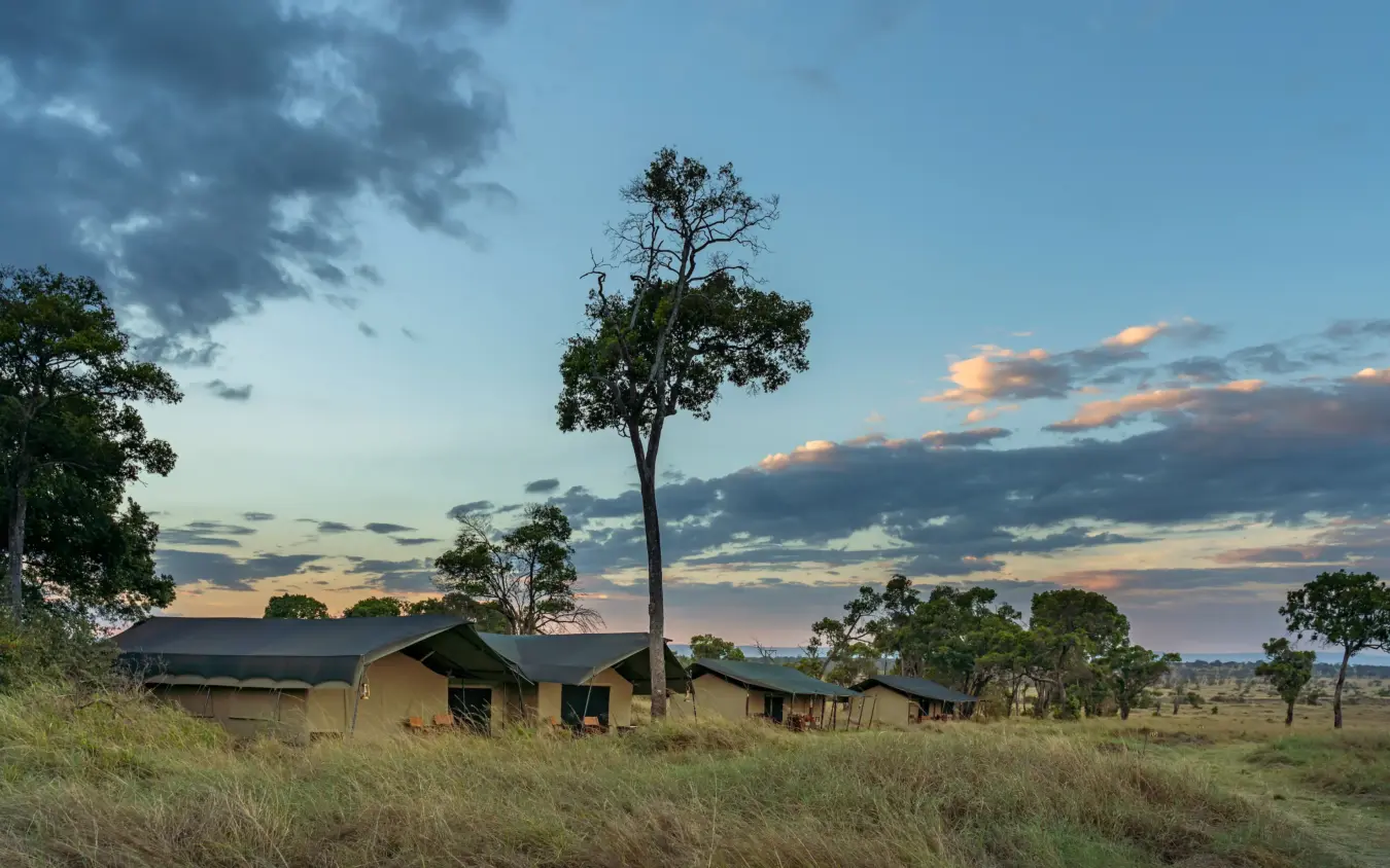 Safari lodge with thatched roofs at dusk in open grassland, Ndutu Mobile Tented Camp, Serengeti National Park, Tanzania
