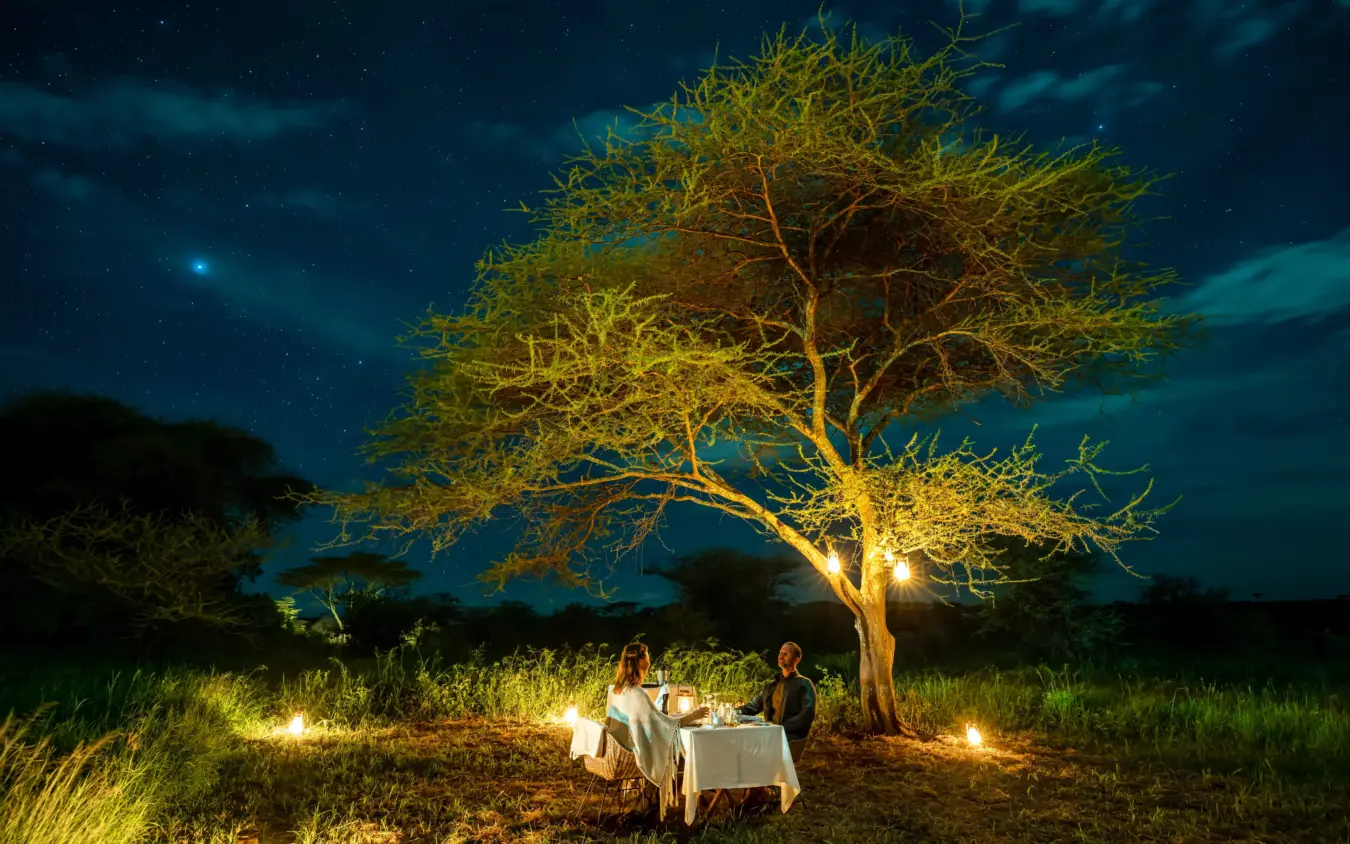 Couple dining at candlelit table beneath illuminated acacia tree at night, Ndutu Mobile Tented Camp, Serengeti National Park, Tanzania