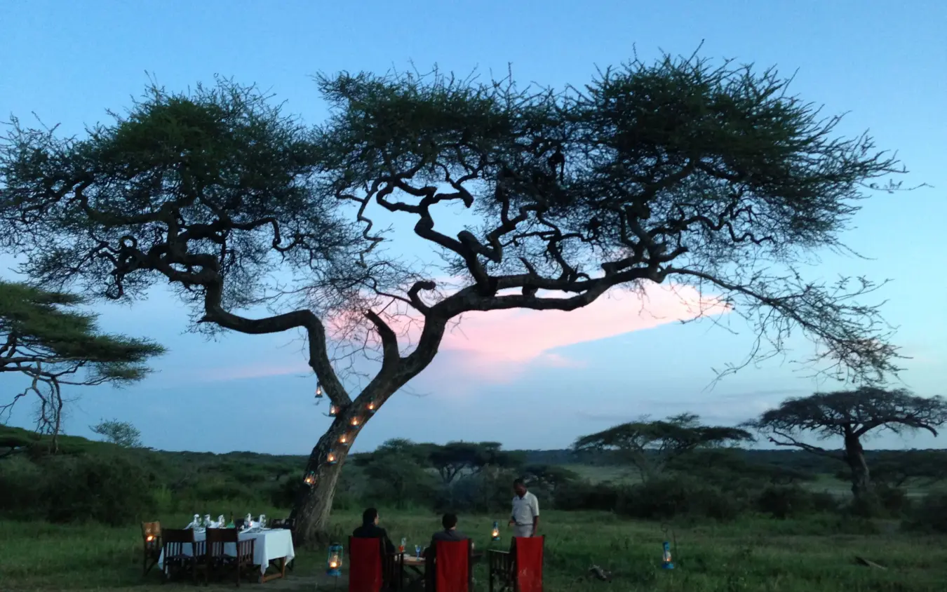 Dinner setup beneath acacia tree at dusk with savanna landscape, Ndutu Mobile Tented Camp, Serengeti National Park, Tanzania