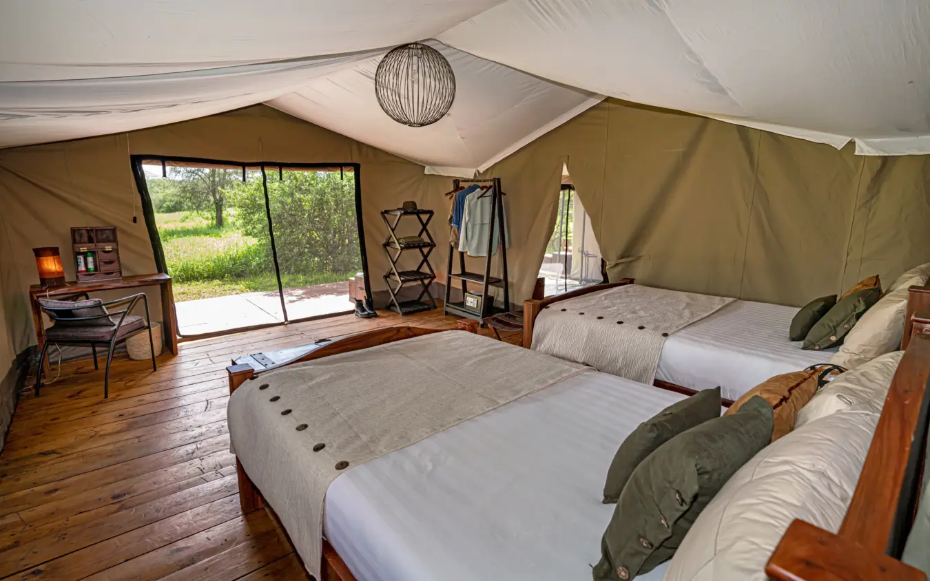Luxury safari tent interior with multiple beds and canvas walls, Ndutu Mobile Tented Camp, Serengeti National Park, Tanzania