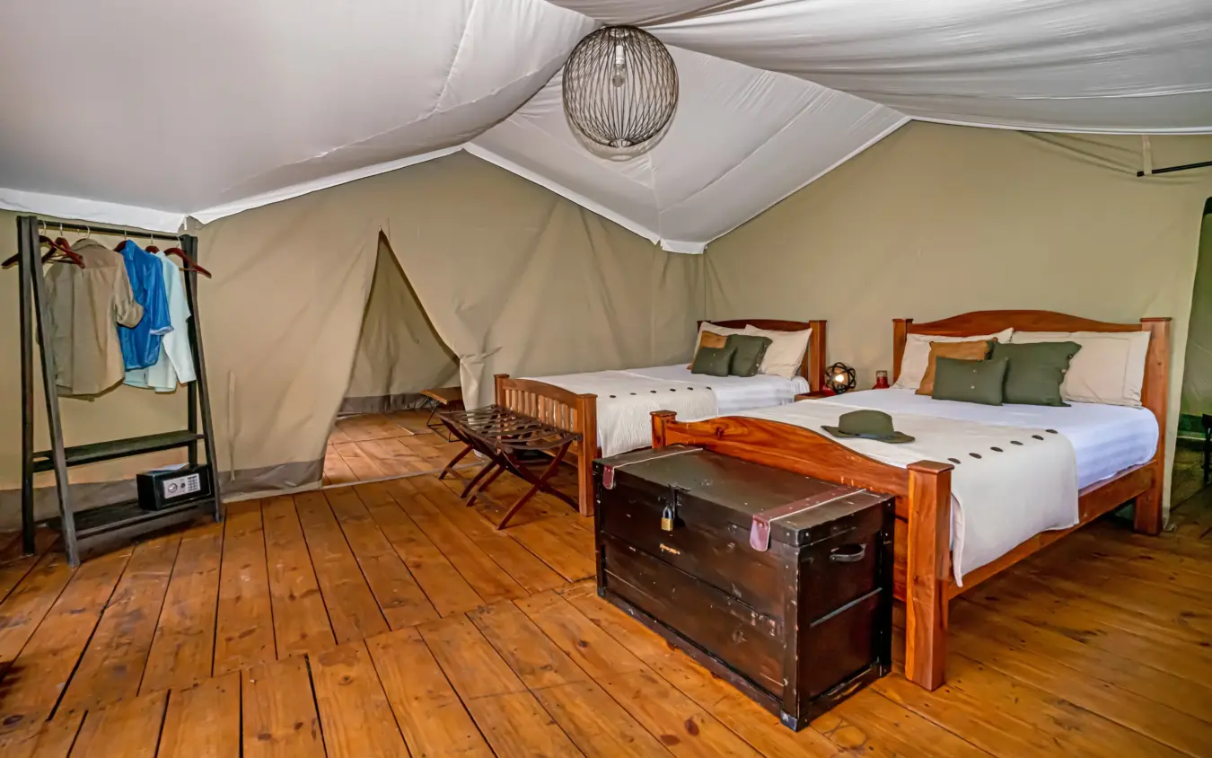 Glamping tent interior with wooden beds and safari-style furnishings, Ndutu Mobile Tented Camp, Serengeti National Park, Tanzania