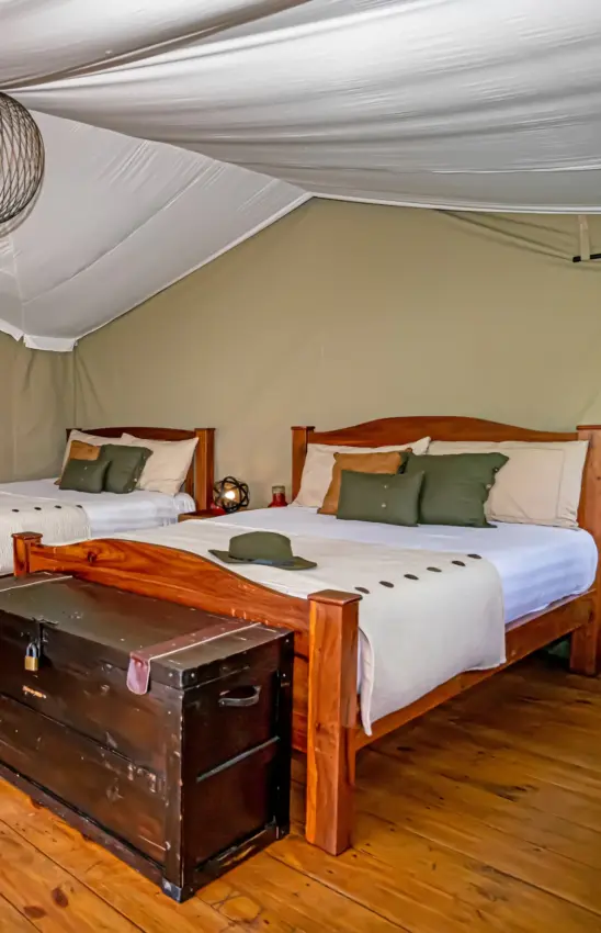 Luxury safari tent interior with twin beds and canvas ceiling, Ndutu Mobile Tented Camp, Serengeti National Park, Tanzania
