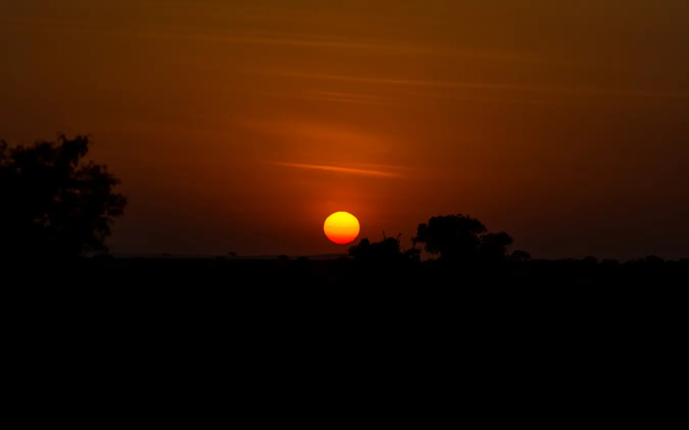 Sunset over savanna landscape with silhouetted acacia trees, Ndutu Mobile Tented Camp, Serengeti National Park, Tanzania