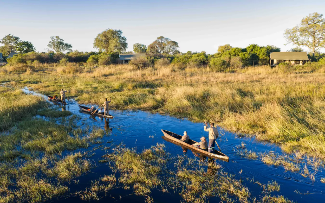Traditional dugout canoes with guides on waterway through golden grassland, Nkasa Linyanti, Zambezi Region, Namibia