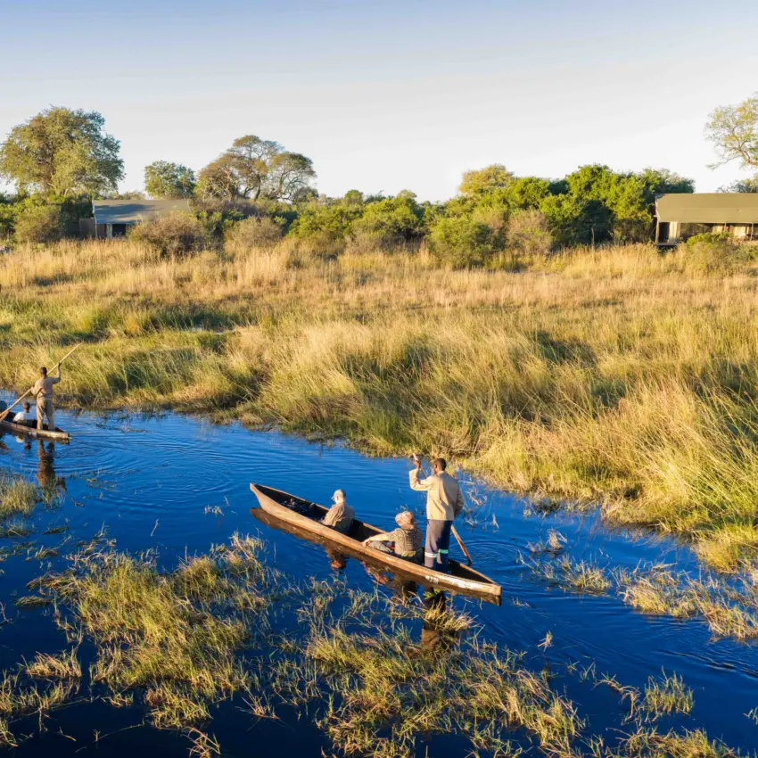 Traditional dugout canoes with guides on waterway through golden grassland, Nkasa Linyanti, Zambezi Region, Namibia