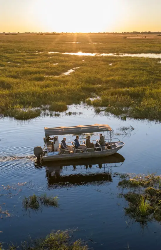 Motorboat with guests on water safari through wetland at sunset, Nkasa Linyanti, Zambezi Region, Namibia