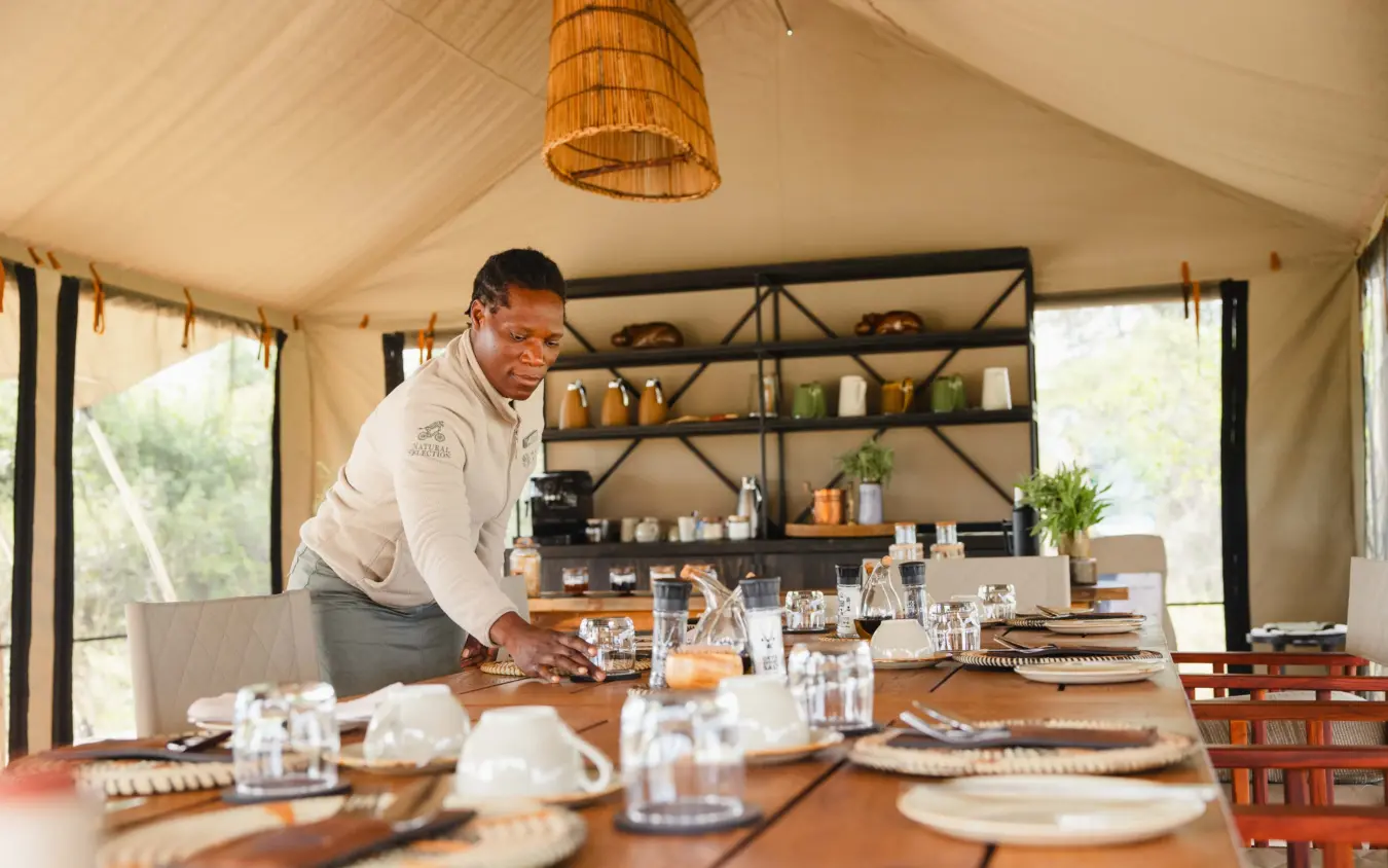 Staff member setting dining table in canvas safari tent, Nkasa Linyanti, Zambezi Region, Namibia