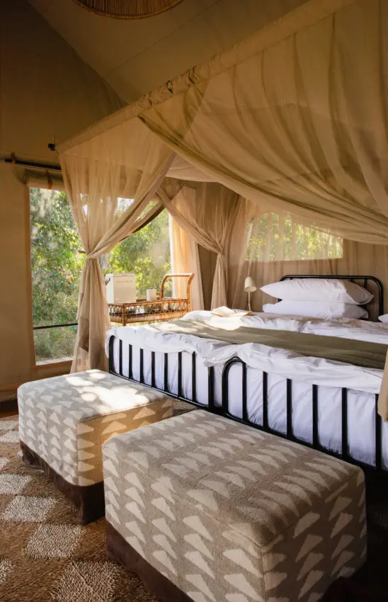 Luxury safari tent bedroom with sheer drapes and forest views through large windows, Nkasa Linyanti, Zambezi Region, Namibia