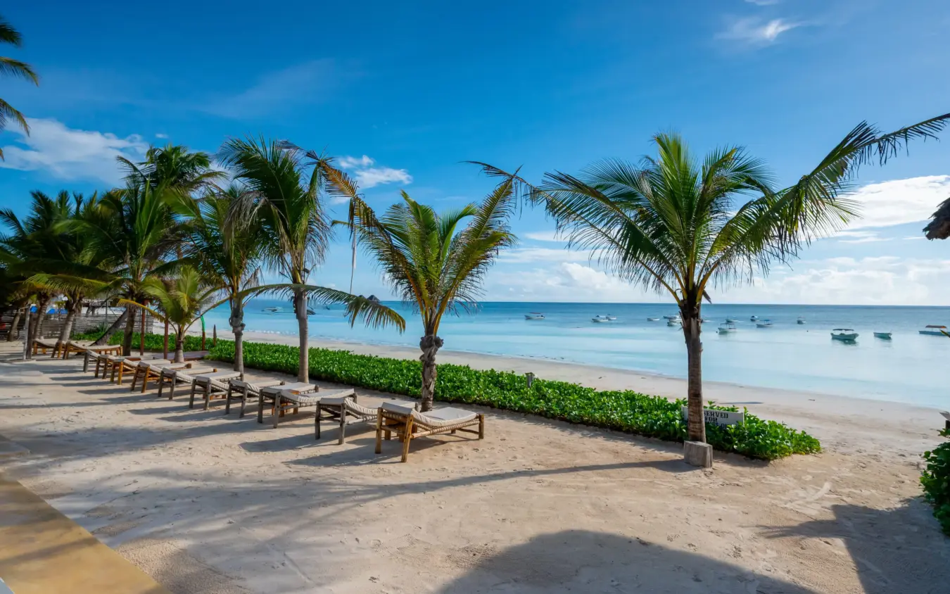 Wooden loungers beneath palm trees on pristine beach with moored boats, Ocean Boutique Hotel, Zanzibar & Pemba, Tanzania