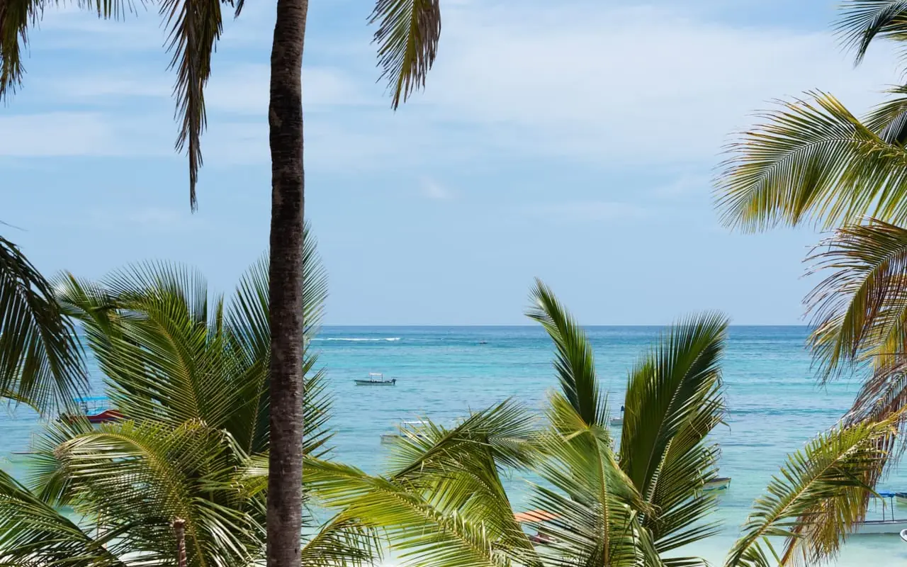 Palm fronds framing turquoise ocean with moored fishing boat, Ocean Boutique Hotel, Zanzibar & Pemba, Tanzania