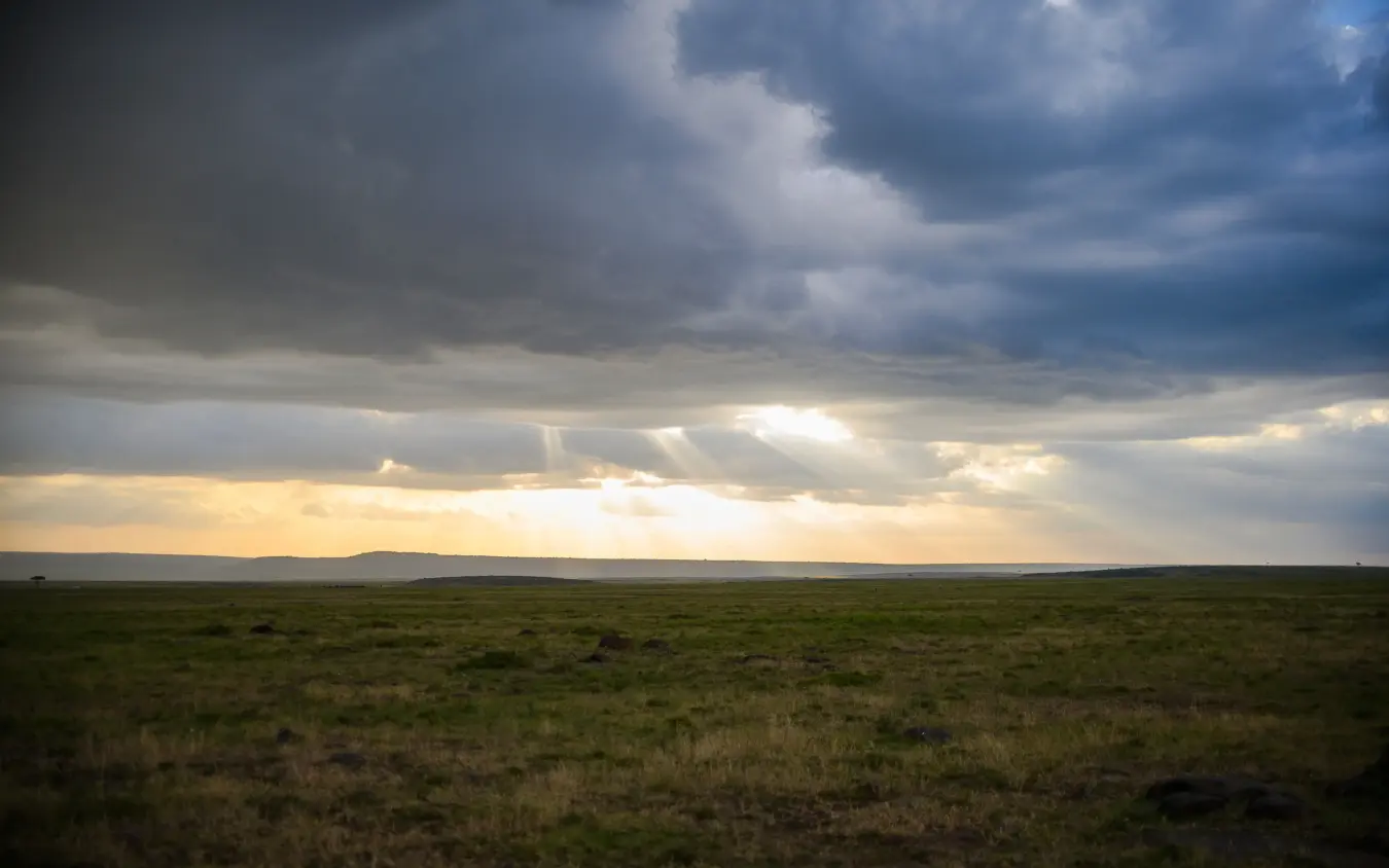 Dramatic crepuscular rays breaking through storm clouds over vast grassland plains, Offbeat Mara, Maasai Mara, Kenya