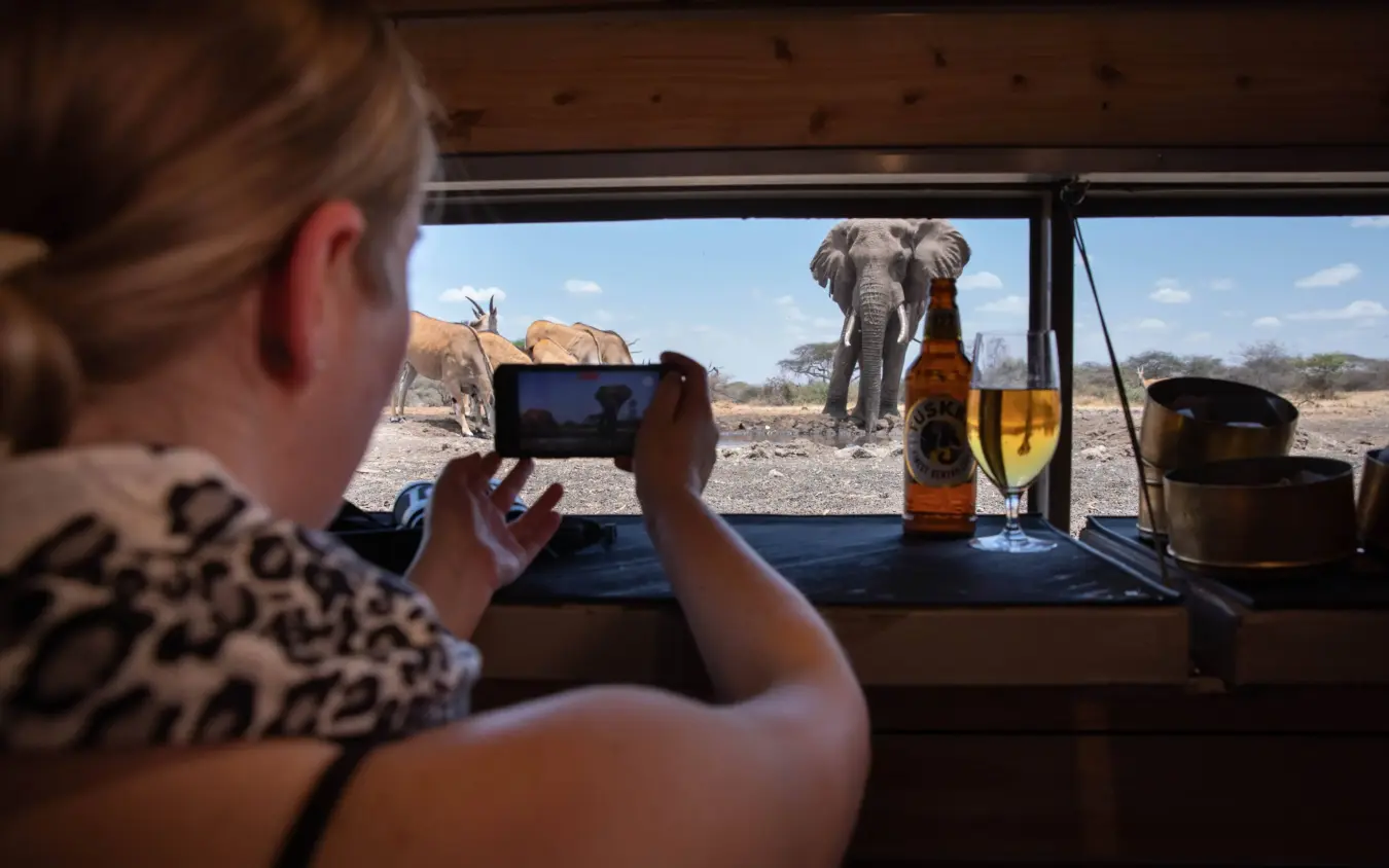 Guest photographing elephants from safari vehicle window, Ol Donyo Lodge, Amboseli and Chyulu Hills, Kenya