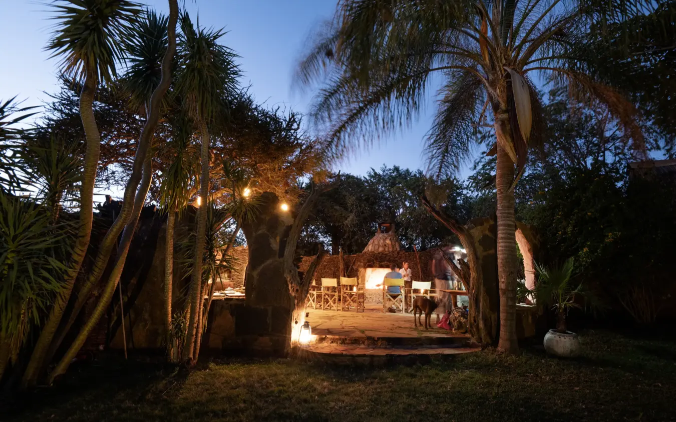 Illuminated outdoor dining pavilion nestled among palm trees at dusk, Ol Malo House, Laikipia Highlands, Kenya
