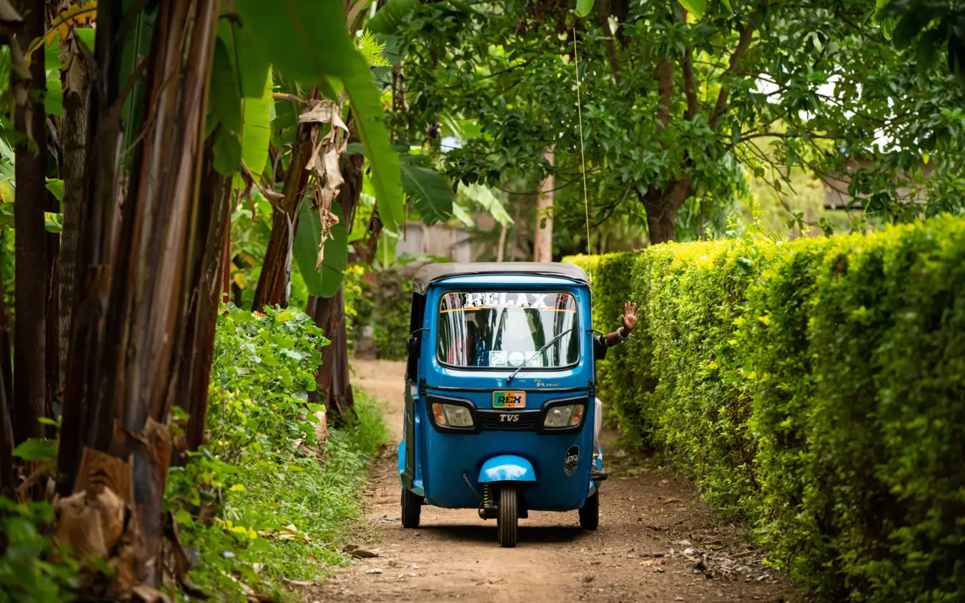 Blue tuk-tuk parked on narrow dirt path lined with green vegetation and trees, Osonjoi Lodge, Ngorongoro Crater, Tanzania