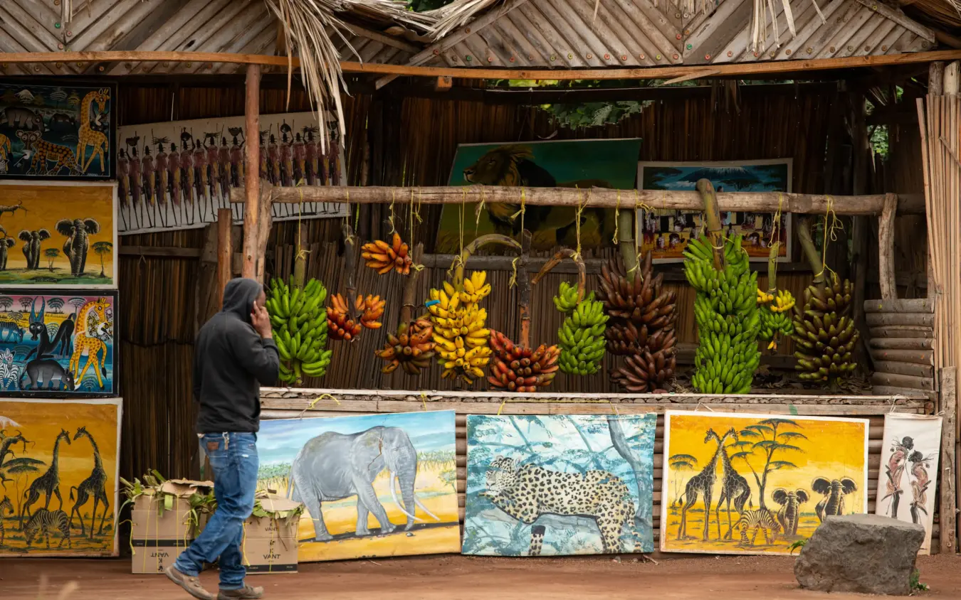 Roadside market stall with fresh bananas and wildlife artwork, Osonjoi Lodge, Ngorongoro Crater, Tanzania