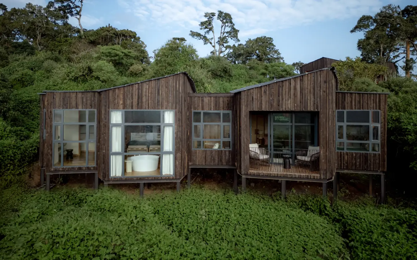 Elevated wooden lodge with large windows surrounded by dense green forest, Osonjoi Lodge, Ngorongoro Crater, Tanzania