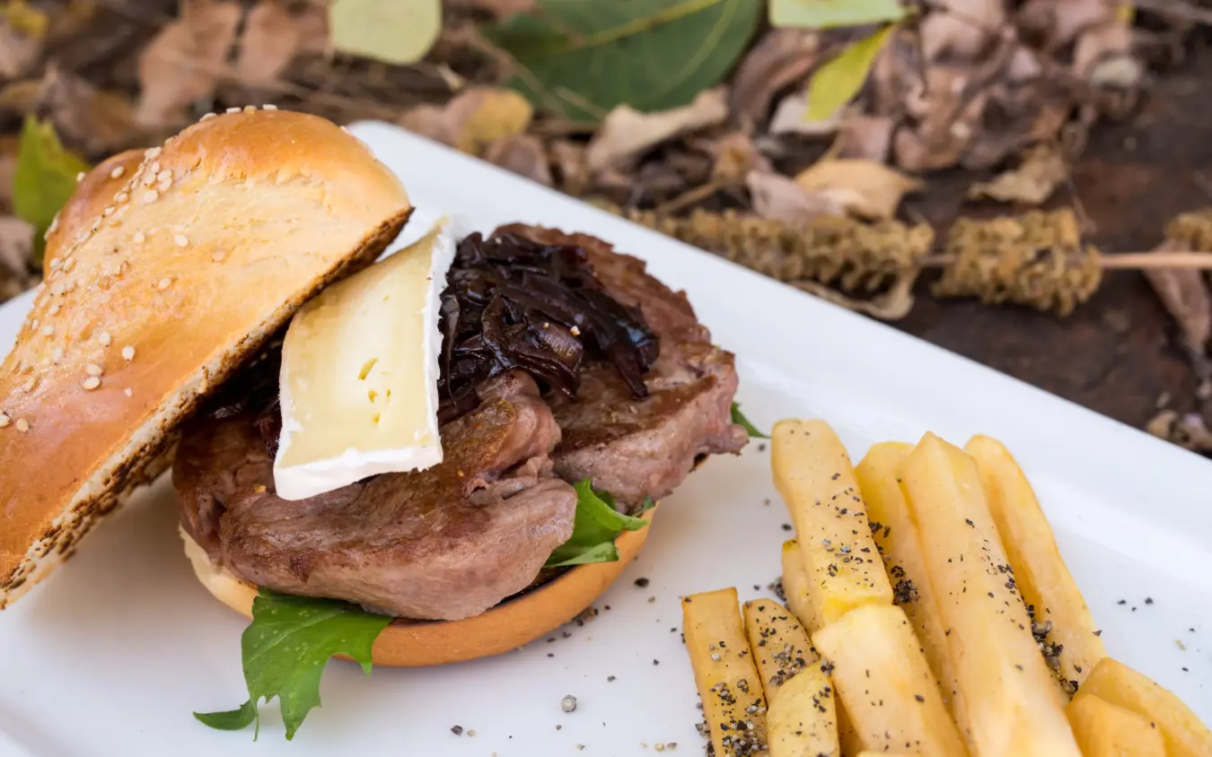 Gourmet burger with fries served on white plate in natural setting, Osonjoi Lodge, Ngorongoro Crater, Tanzania