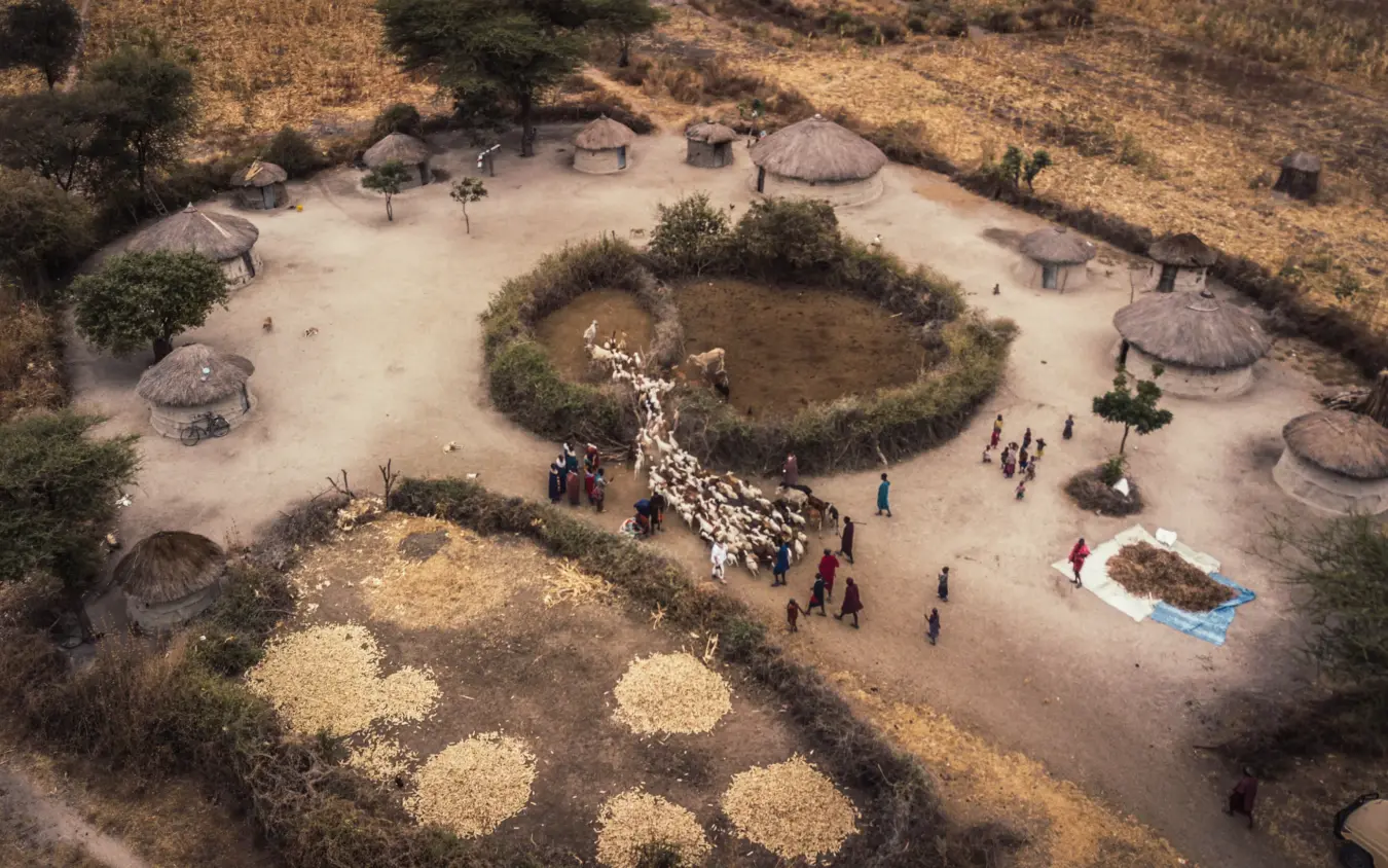 Aerial view of traditional village settlement with circular huts and livestock enclosure, Osonjoi Lodge, Ngorongoro Crater, Tanzania