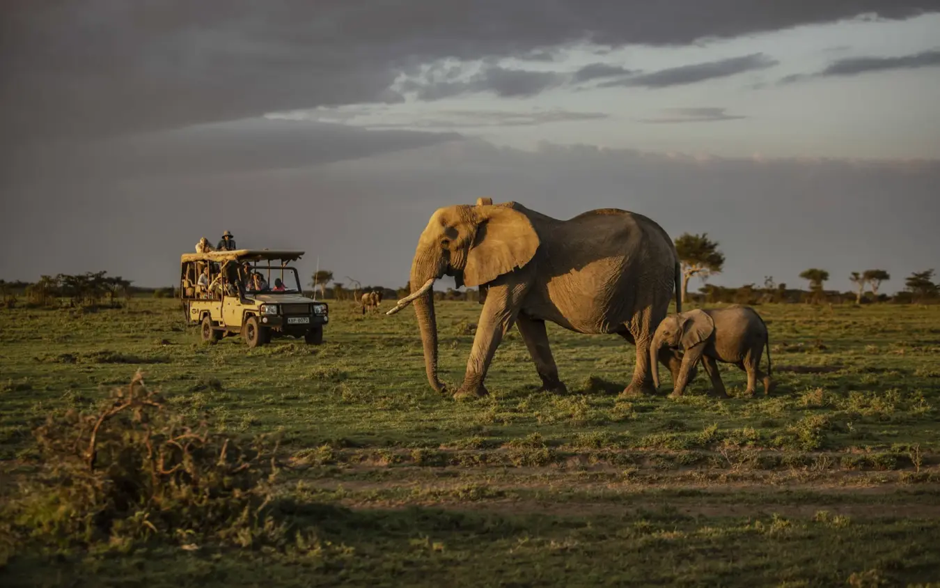 Porini Lion Camp, Maasai Mara, Kenya