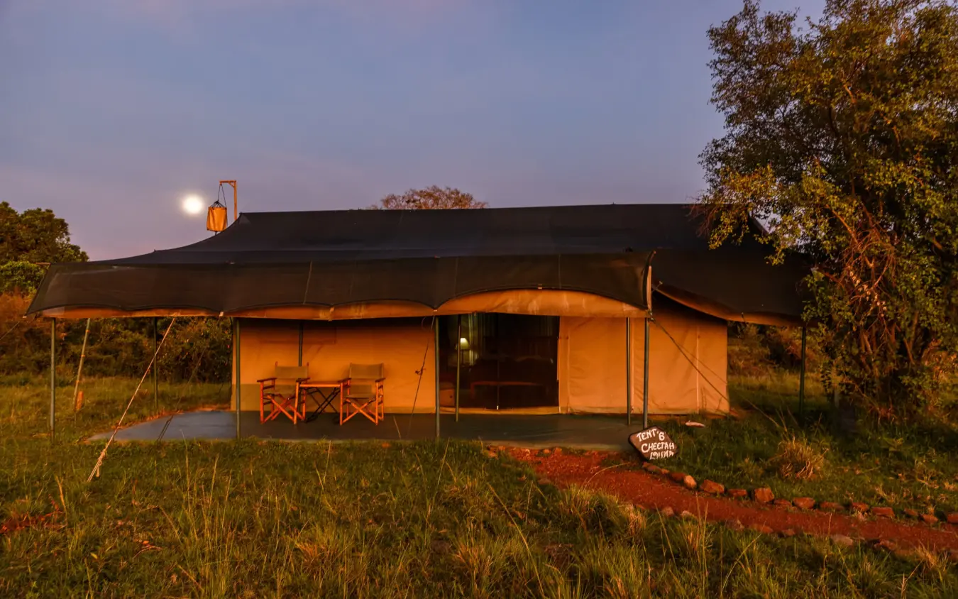Illuminated safari tent with canvas canopy at dusk in grassland, Porini Lion Camp, Maasai Mara, Kenya