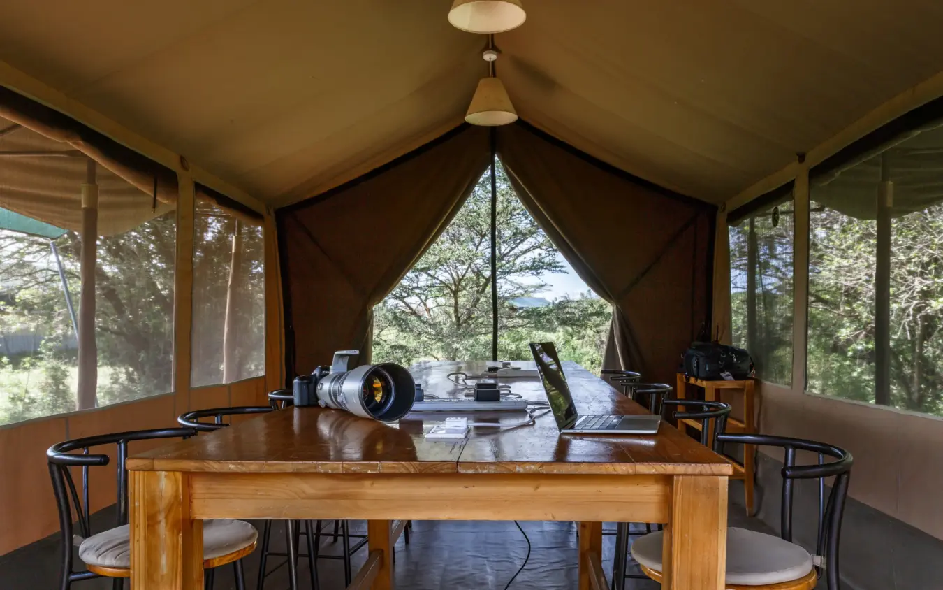 Canvas glamping tent with workspace overlooking treetop landscape, Porini Lion Camp, Maasai Mara, Kenya