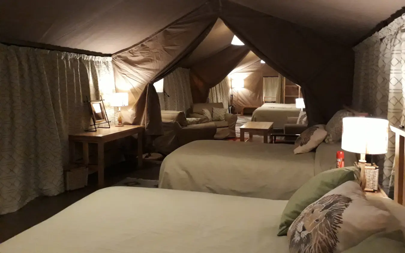 Luxury safari tent interior with multiple beds and draped fabric canopy, Porini Lion Camp, Maasai Mara, Kenya