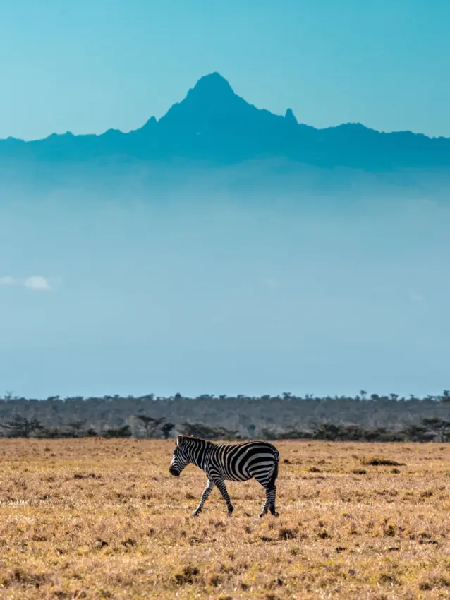 Porini Rhino Camp, Laikipia Highlands, Kenya