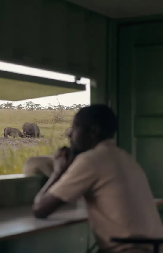 Guest viewing elephants grazing from lodge window, Porini Rhino Camp, Laikipia Highlands, Kenya