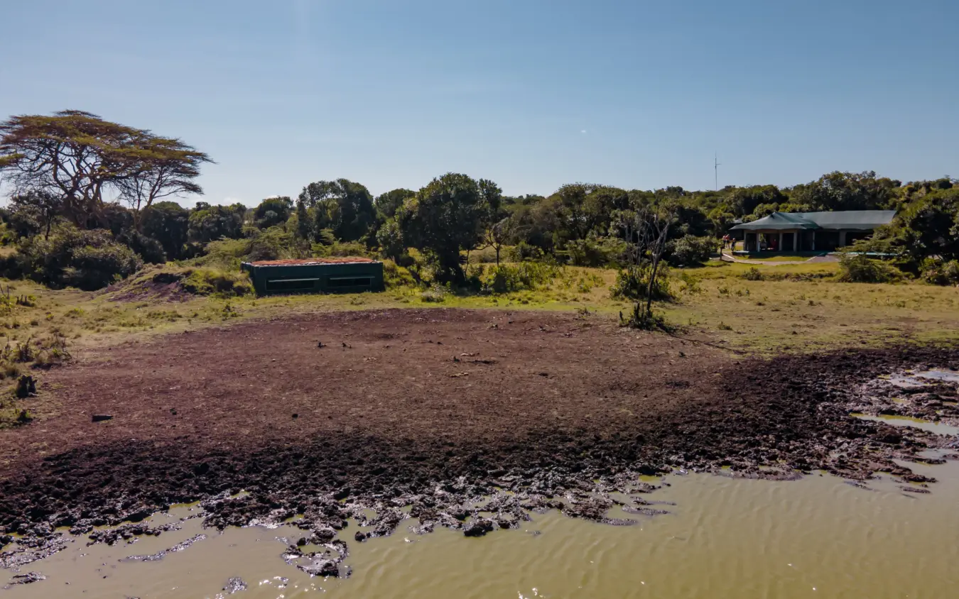 Coastal homestead with tidal mudflats and acacia trees, Porini Rhino Camp, Laikipia Highlands, Kenya