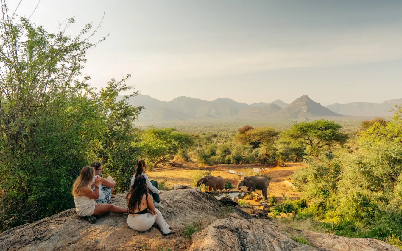 Tourists observing elephants at watering hole from elevated rocky outcrop, Reteti House, Northern Kenya, Kenya