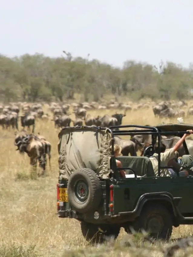 Roca River Camp, Maasai Mara, Kenya