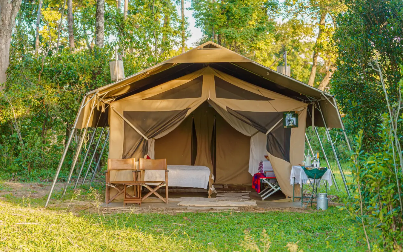 Glamping tent with wooden furniture in forest clearing, Roca River Camp, Maasai Mara, Kenya