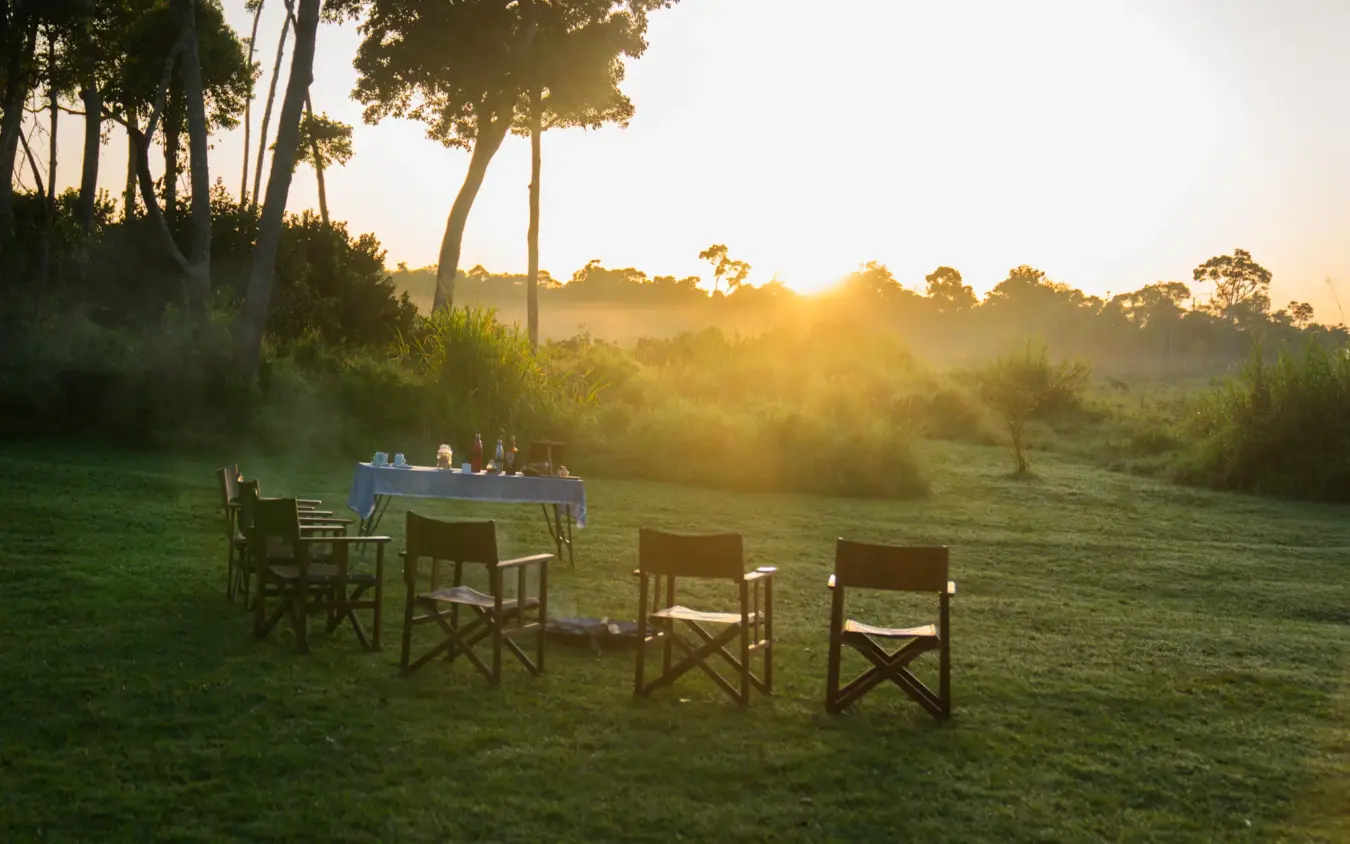 Dining table set up on grass at sunrise with tall trees and mist, Roca River Camp, Maasai Mara, Kenya
