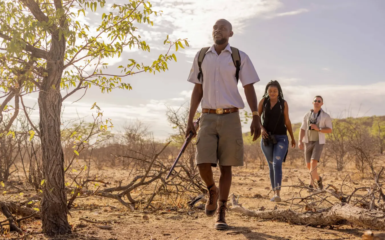 Guide leading group of tourists on walking safari through arid bushland, Safari House, Etosha National Park, Namibia