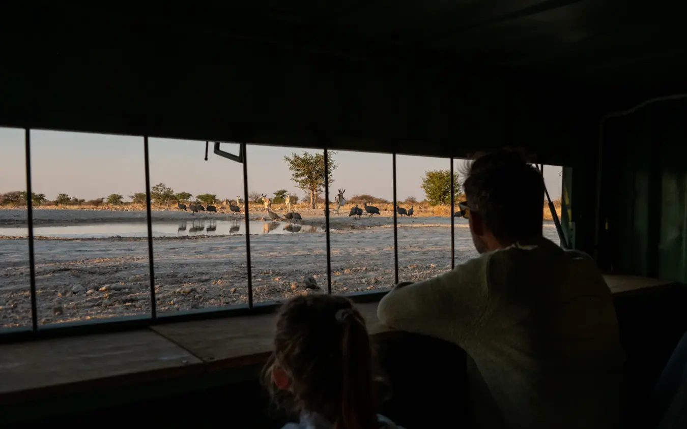 Guests viewing waterhole with elephants and birds from safari lodge window, Safari House, Etosha National Park, Namibia