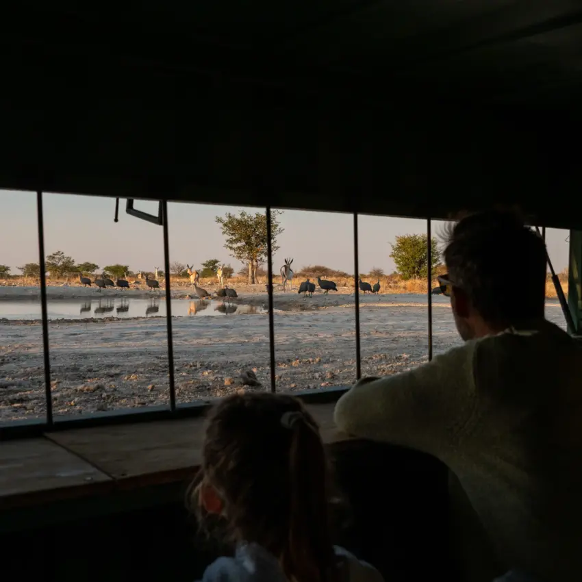 Guests viewing wildlife at waterhole from safari lodge interior, Safari House, Etosha National Park, Namibia
